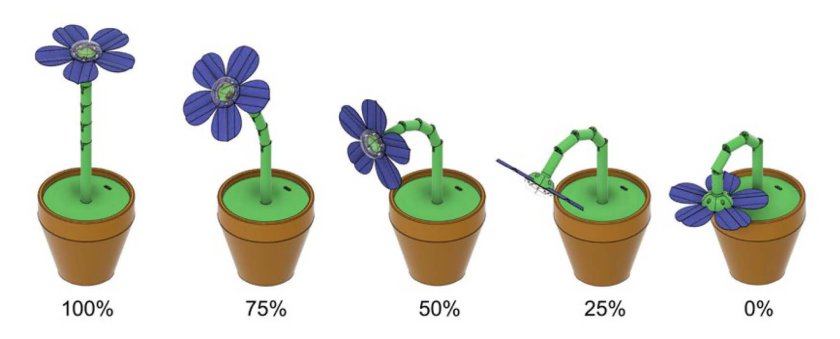 Fleur DataBloom